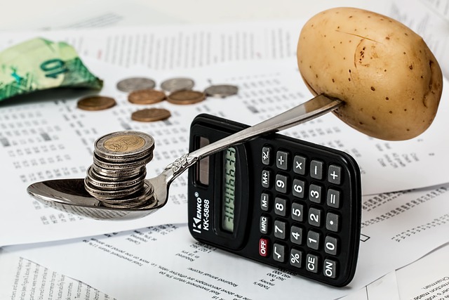 coins, calculator, budget, household budget, money, cash, currency, saving, accounting, market, calculation, earning, planning, income, finance, shopping, cost of living, inflation, spending, financial planning, save money concept, business, save money, saving money, food shopping, thrift, balance, careful, manage, budget, budget, budget, money, money, inflation, inflation, inflation, inflation, inflation
